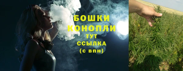 сатива Ладушкин