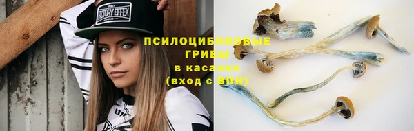 спайс Магас