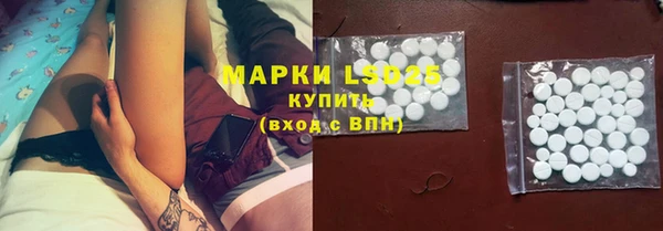 стаф Лабытнанги