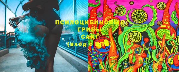 стаф Лабытнанги