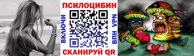 Галлюциногенные грибы MAGIC MUSHROOMS  купить наркотики цена  Стародуб 